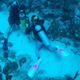 Researchers deploying an underwater microphone on Weinberg Reef. Photo: Rebecca Becicka, Alex Veglia, Jack Olson.